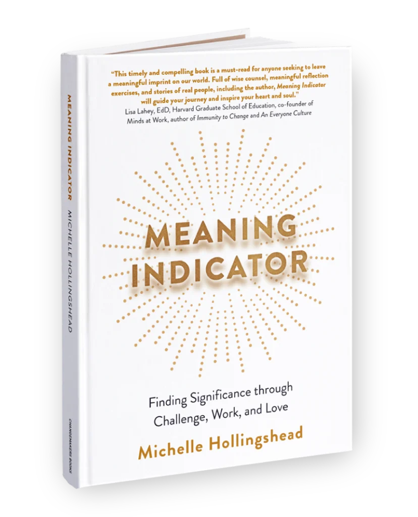 Meaning Indicator by Michelle Hollingshead